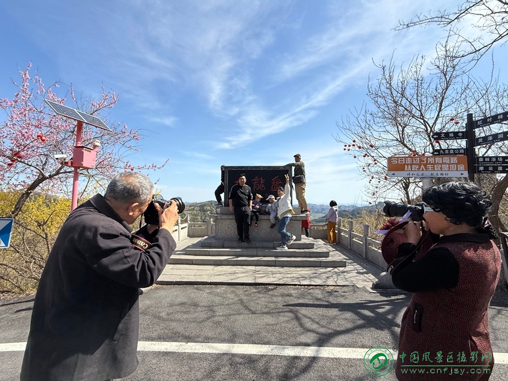 张庆玲 (1).jpg