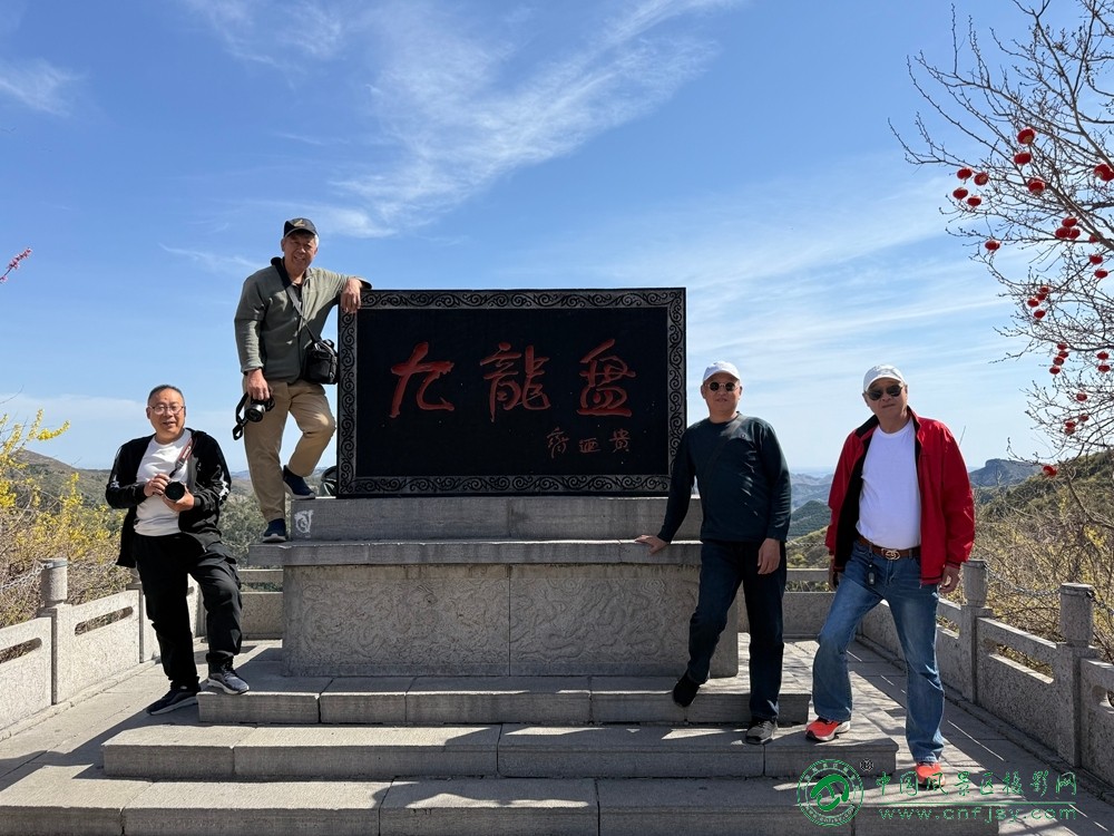 张庆玲 (7).jpg