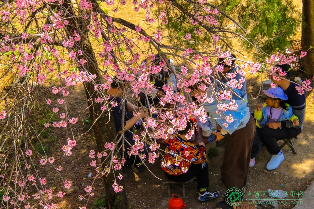 程希群 (14).jpg