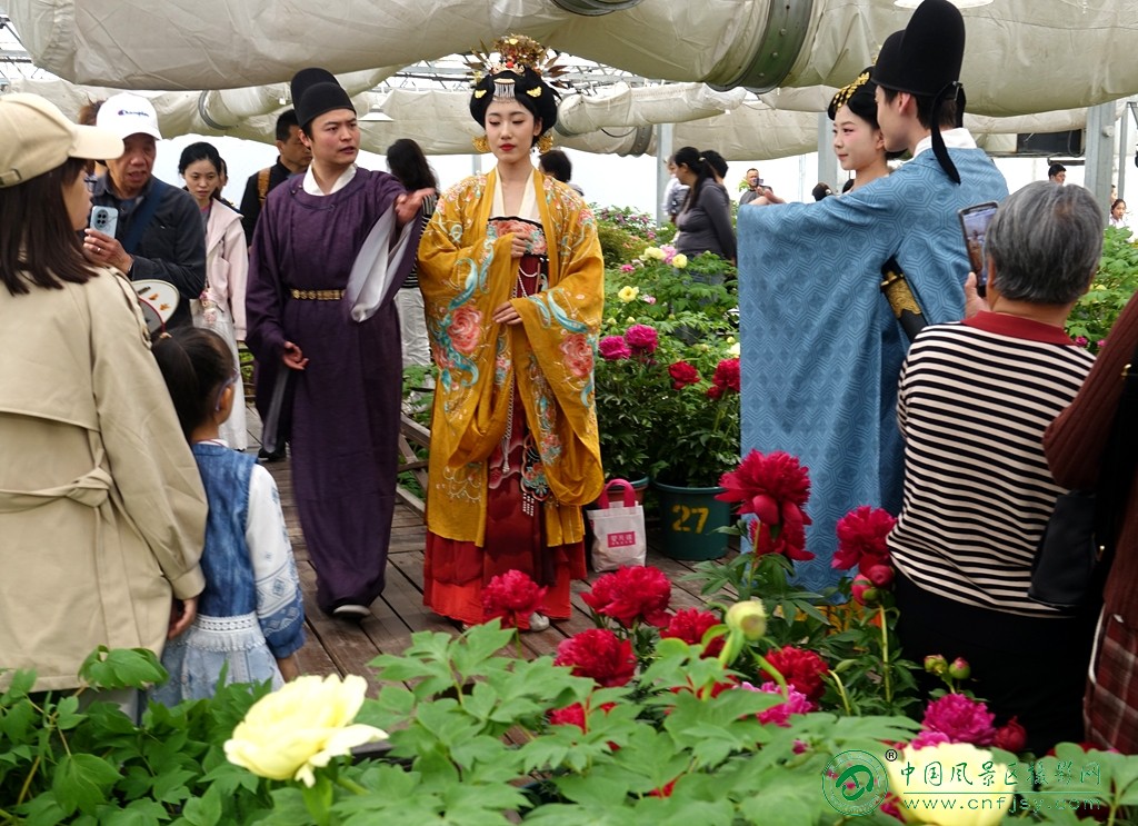 DSC06455_副本.jpg
