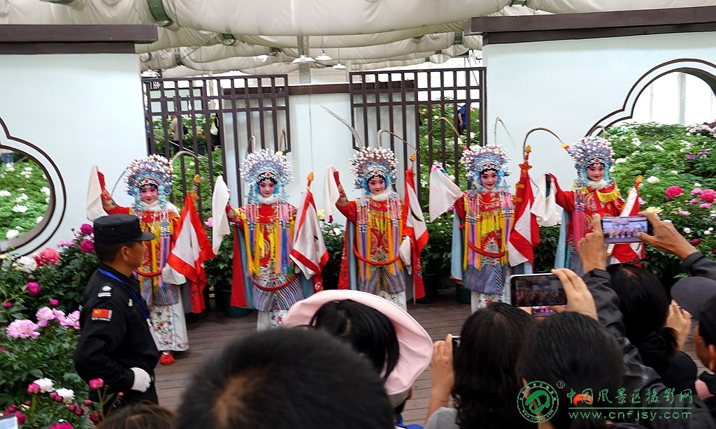 DSC06409_副本.jpg
