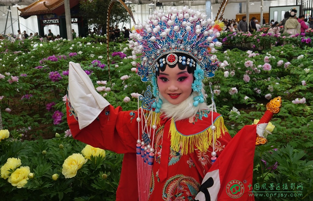 DSC06429_副本.jpg
