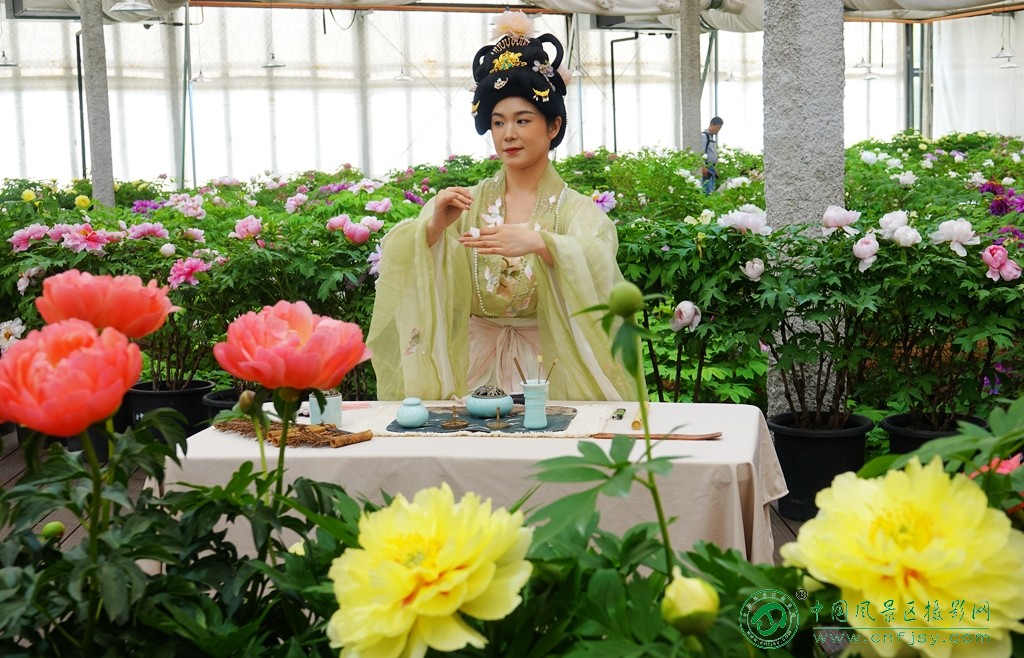 DSC06443_副本.jpg