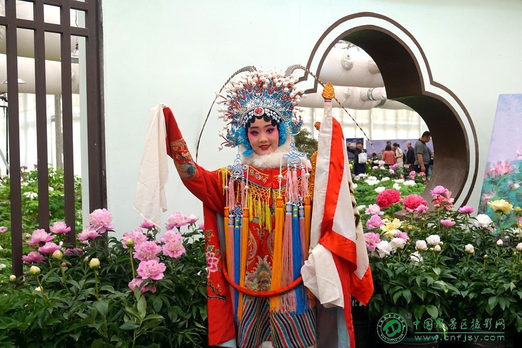 DSC06425_副本.jpg
