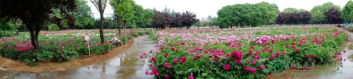 DSC00187_副本_副本.jpg
