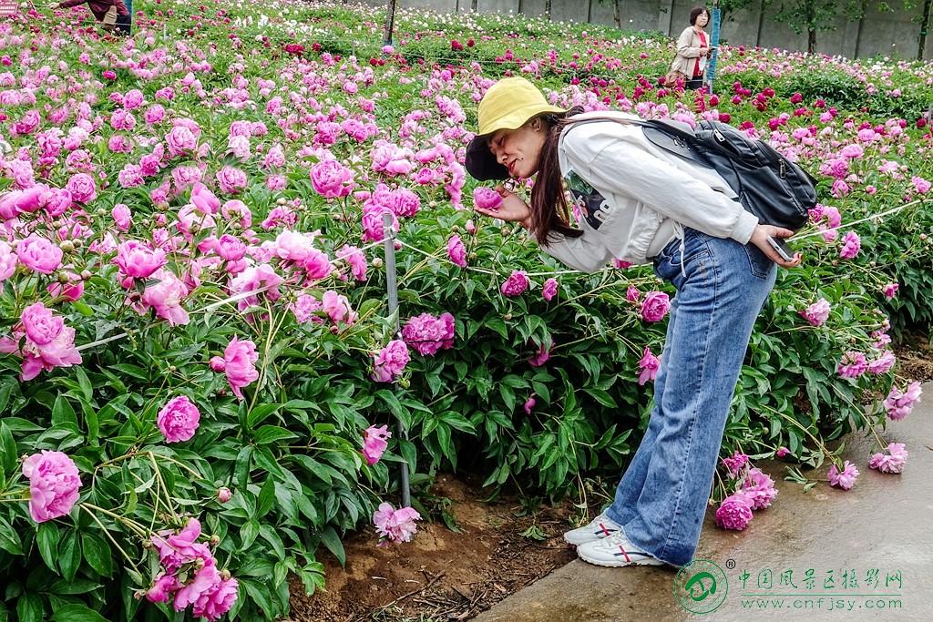 DSC00186_副本_副本.jpg