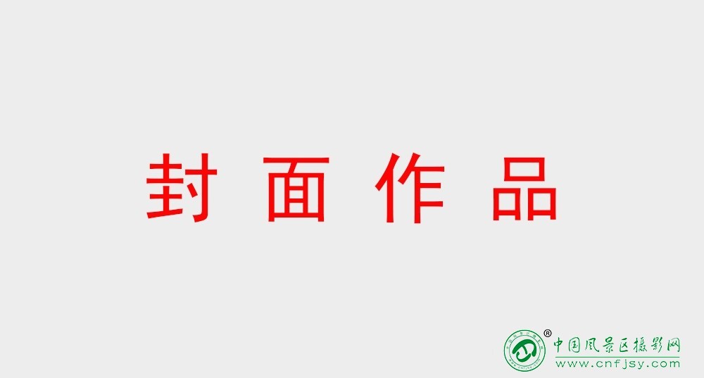 0封面作品.jpg