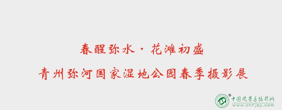 春季摄影展.jpg