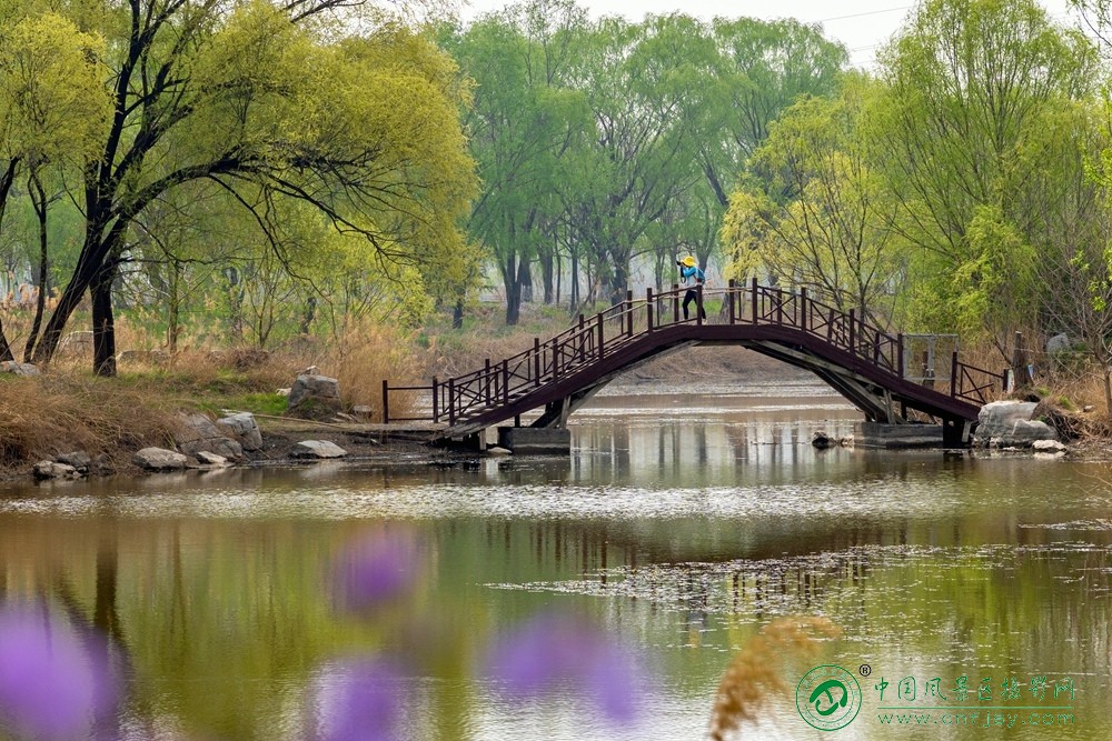 杨云刚--春和景明.jpg