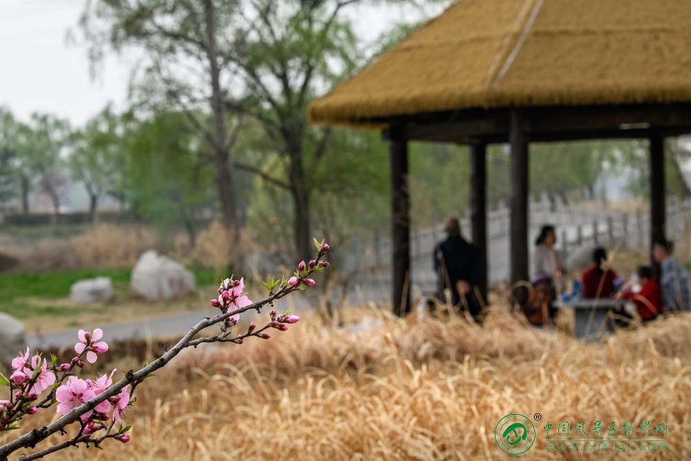 董贵胜--小憩.jpg