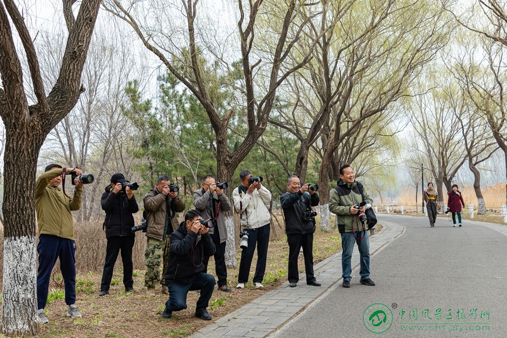 王景梅-以镜头为约，赴一场春天之聚--.jpg