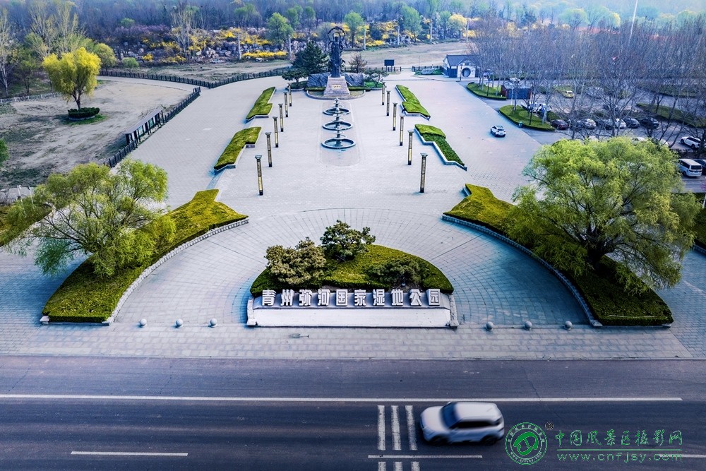 董贵胜--鸟瞰湿地公园.jpg