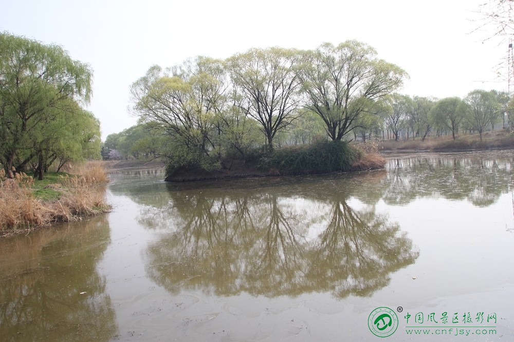 门振宝 水镜春林.jpg