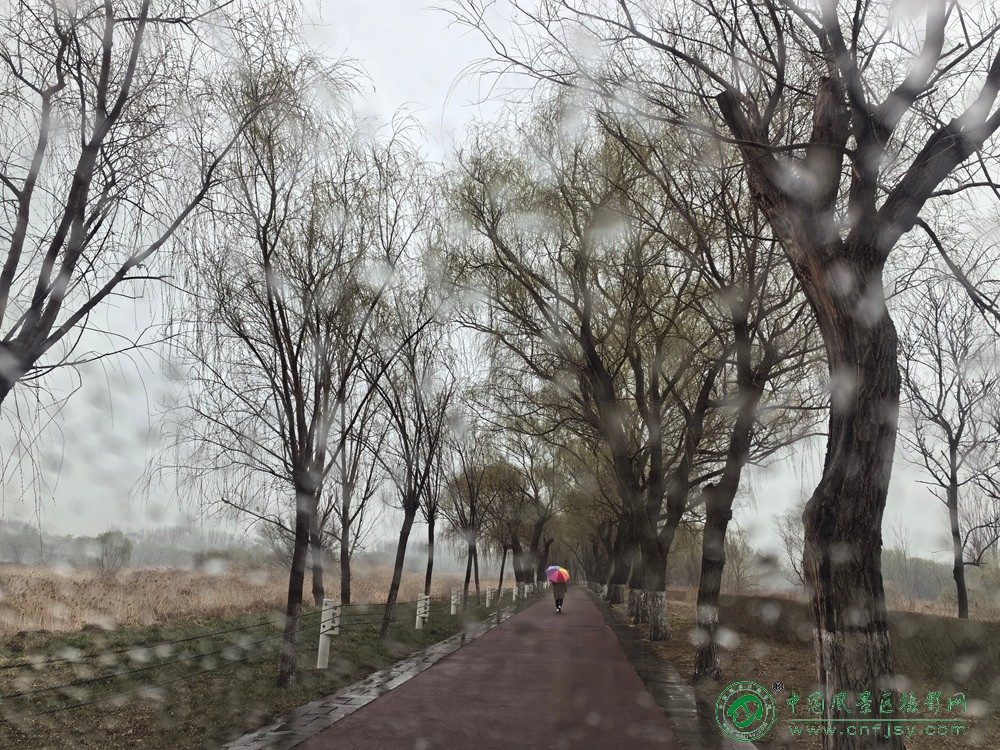王景梅---.jpg