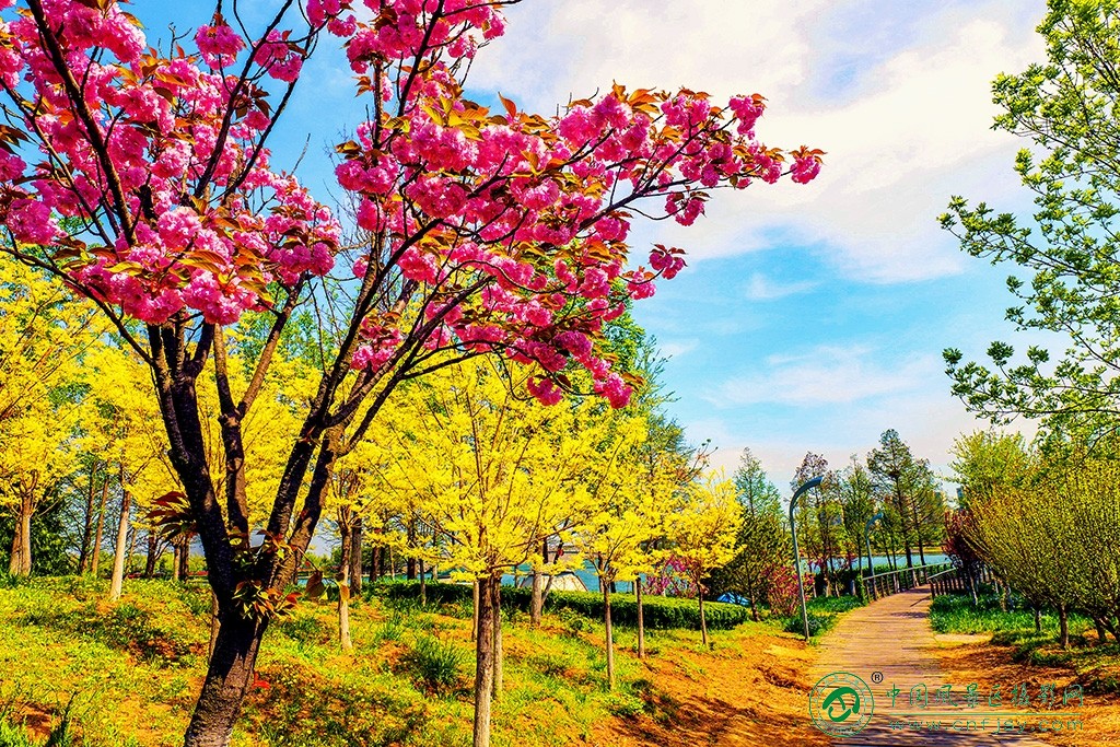 P1051766副本.jpg