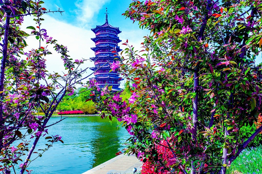P1051771副本.jpg