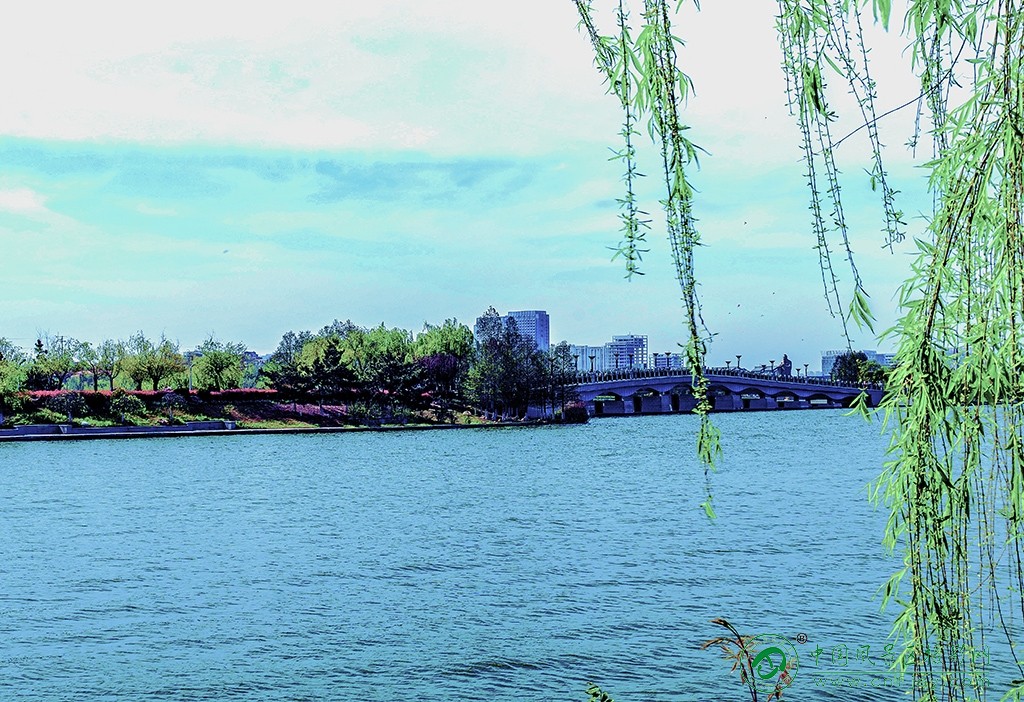 P1051776副本.jpg