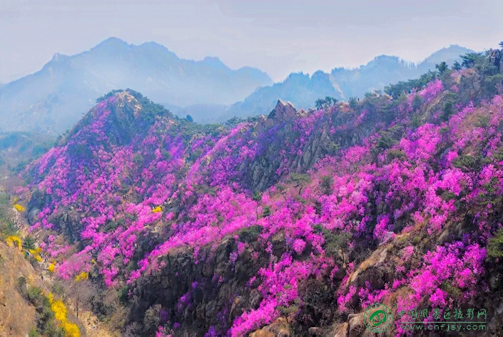 大珠山