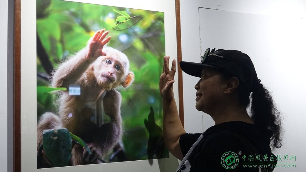 DSC06413_副本.jpg
