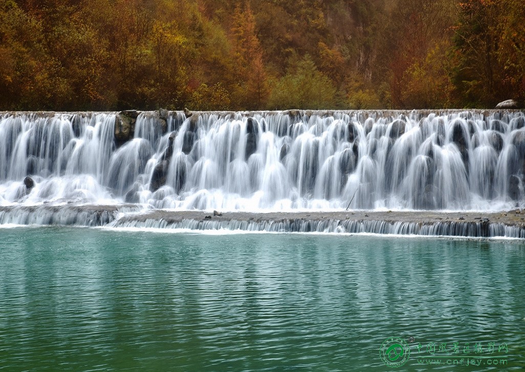 DSC_5702p.jpg