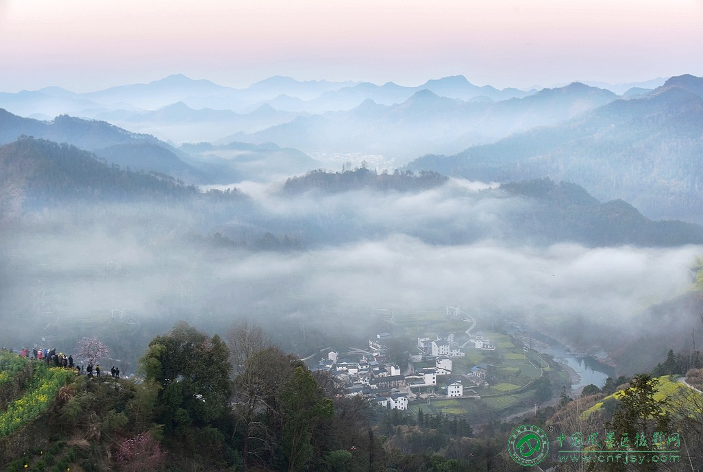 DSC_7926片.jpg