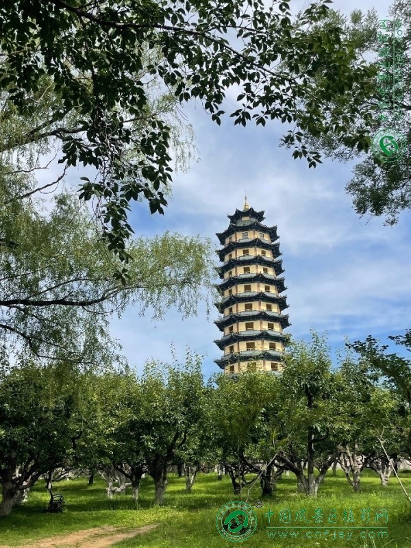 122135zqcxx0luplsxr5uy_副本.jpg