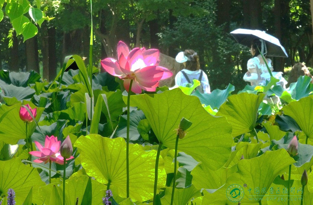 DSC06538_副本.jpg