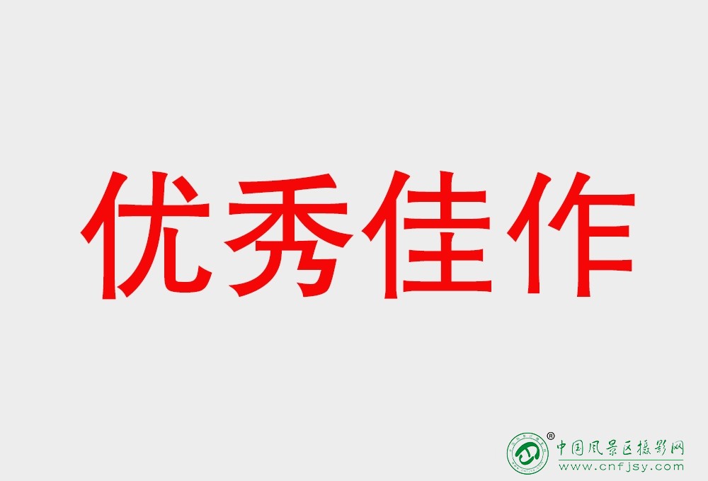 优秀佳作.jpg