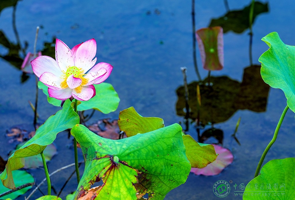 P1052524副本.jpg