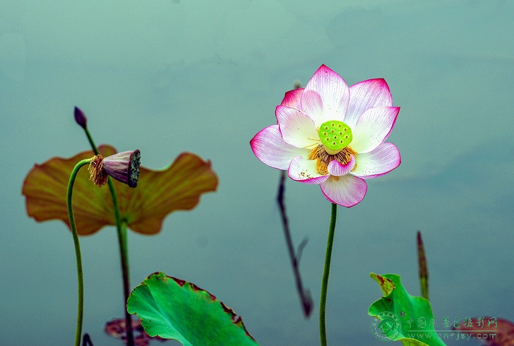 P1052525副本.jpg