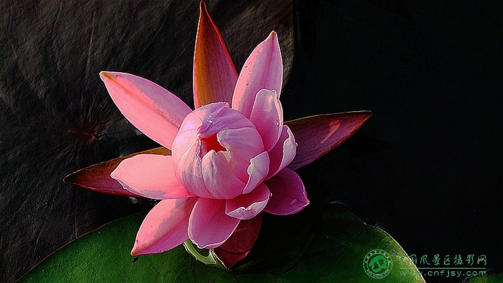 DSC08123_副本_副本.jpg