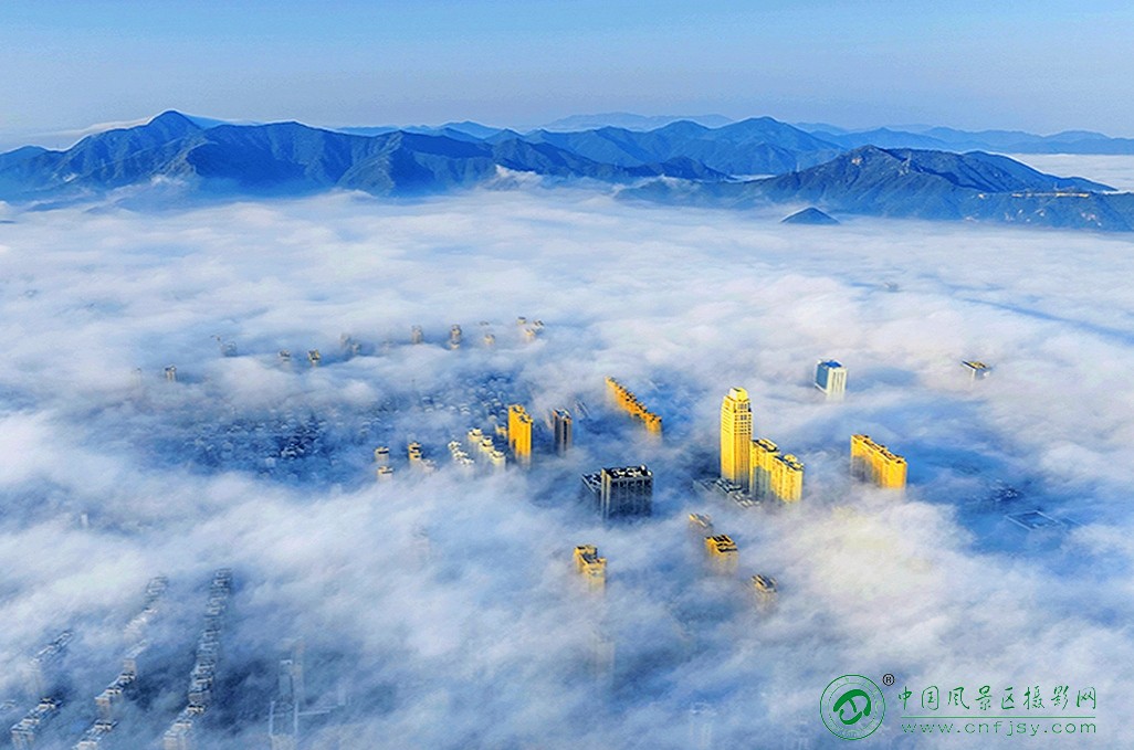204353a888g片.jpg
