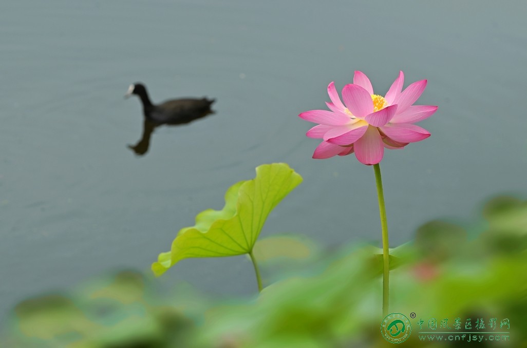 DSC_8905片.jpg