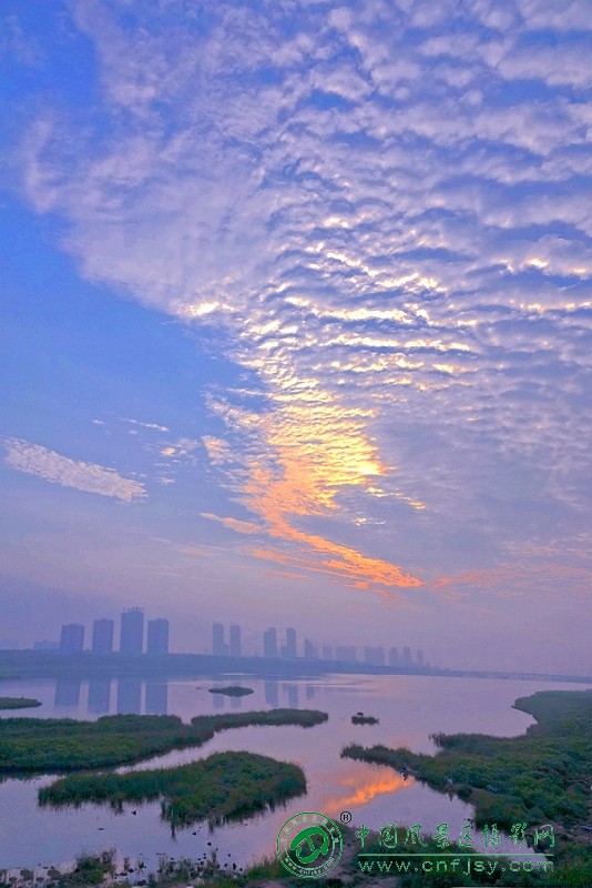 DSC05319_副本_副本.jpg