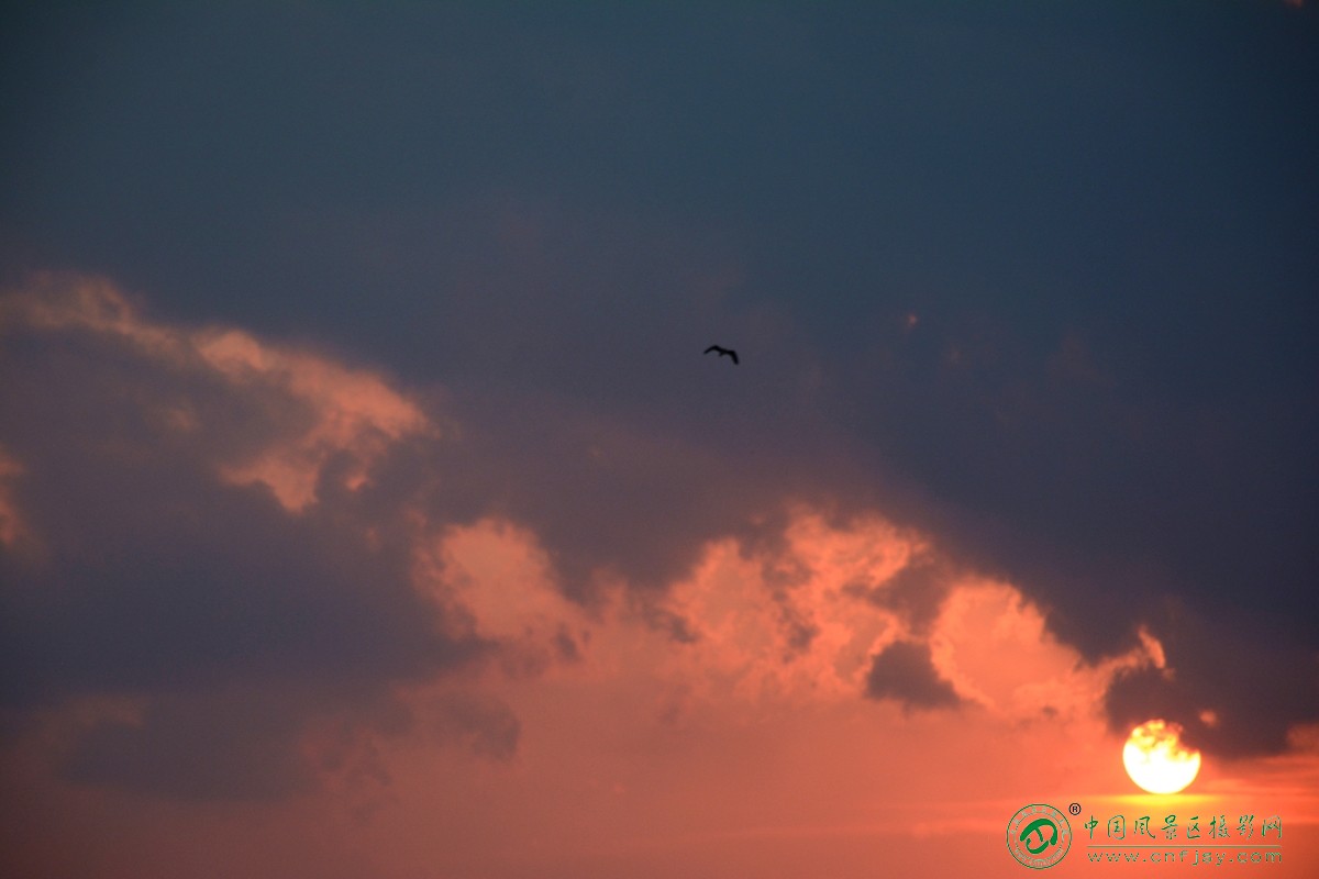 DSC_2594_副本.jpg