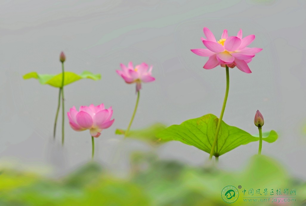 DSC_8880片.jpg