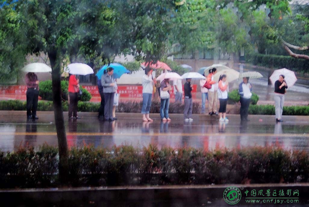 雨中的等待.jpg