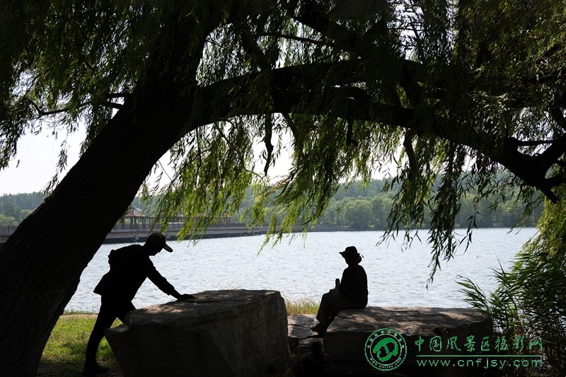 DSC_3453 董贵胜 青州弥河湿地 2026.7.jpg