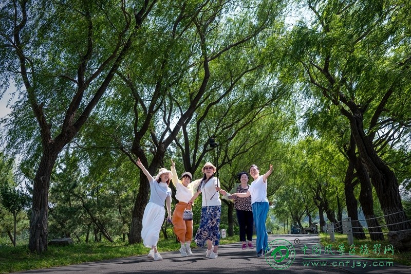 DSC_3699 董贵胜 青州弥河湿地 2026.7.jpg