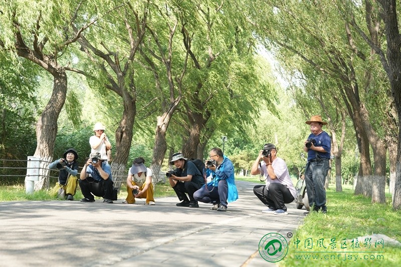 刘明霞 (1).jpg