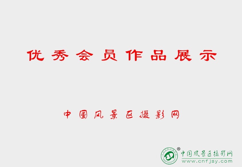 优秀会员作品展示.jpg