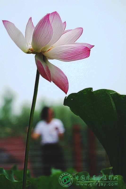 DSC06304_副本.jpg
