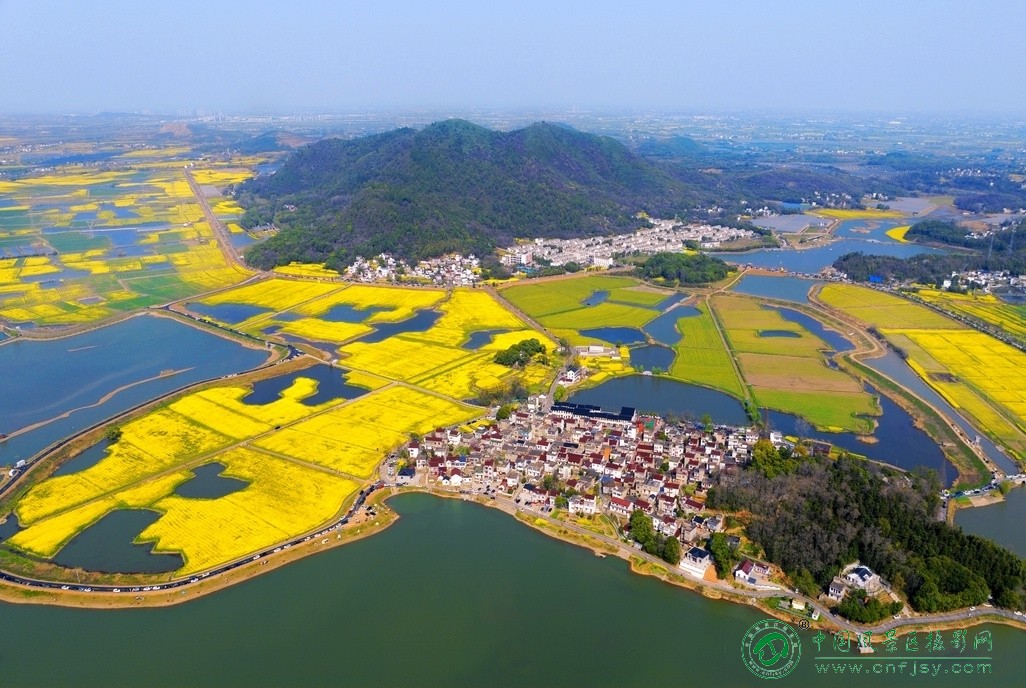 46春光美韵菜花村（摄影：东北风-韩永奎）.jpg