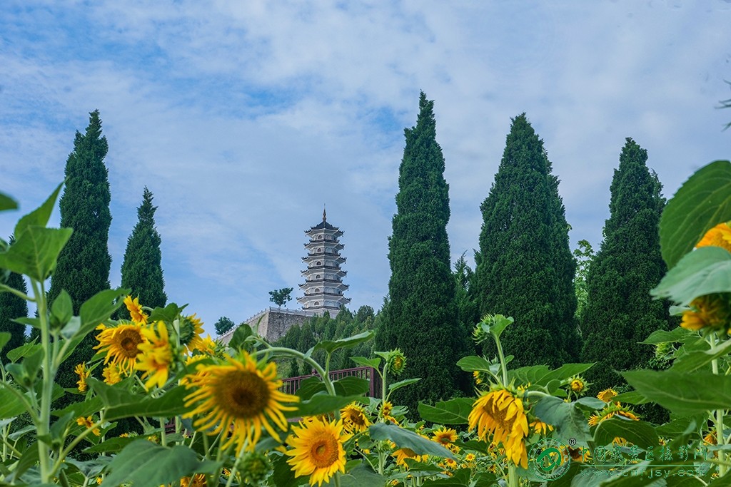 P1052631副本.jpg