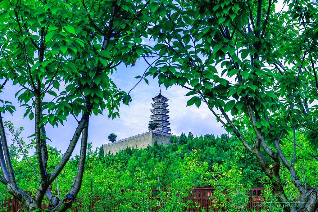 P1052641副本.jpg
