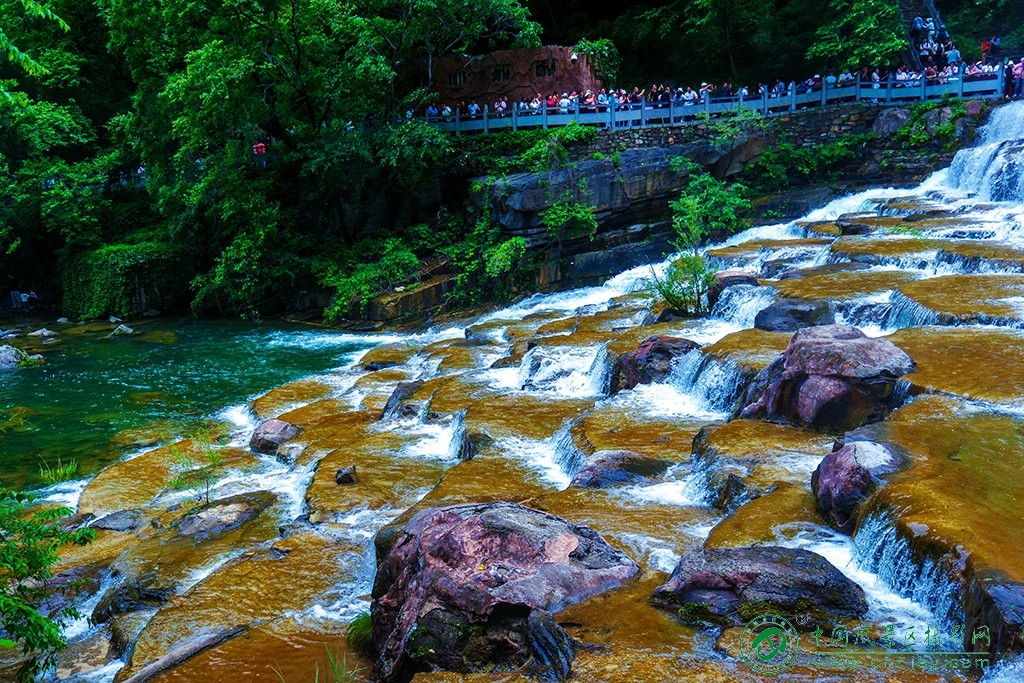 P1052309副本.jpg