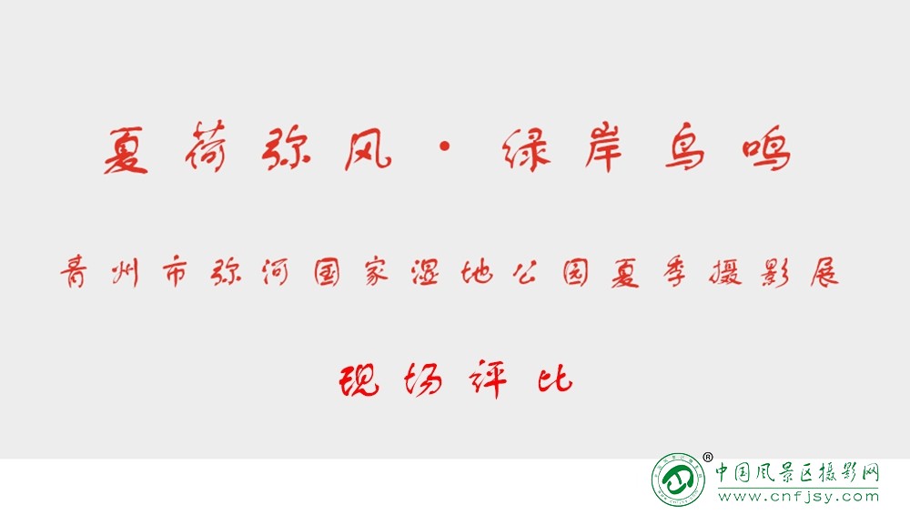 夏季摄影展.jpg
