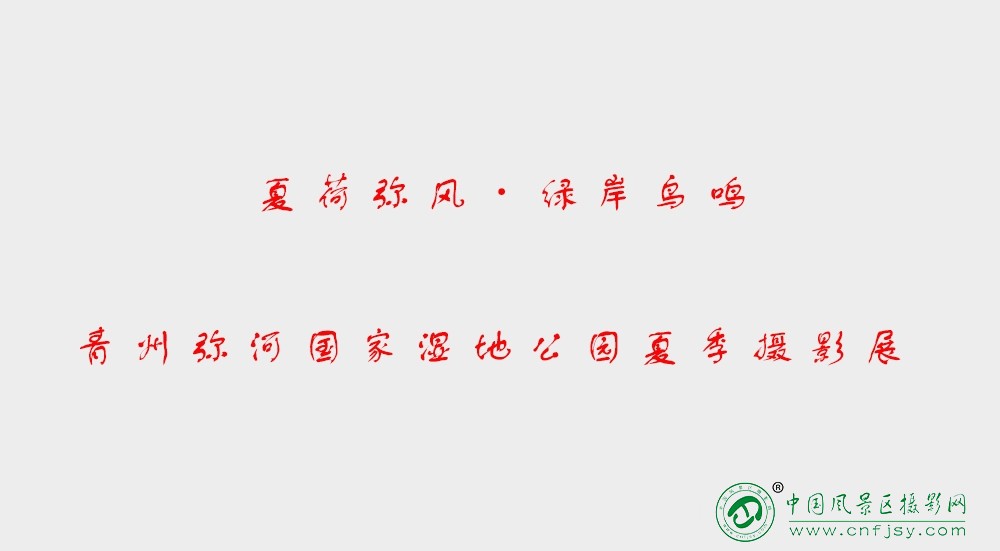 夏季摄影展.jpg