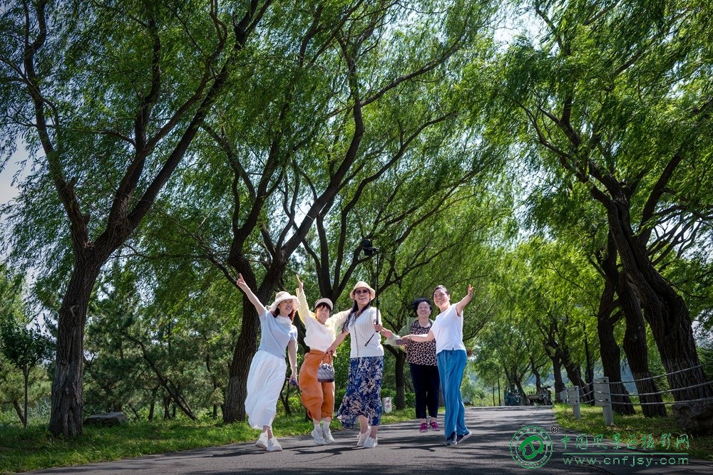 董贵胜-柳荫欢歌.jpg
