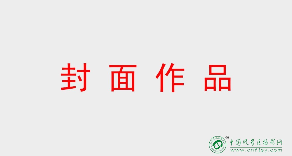0封面作品.jpg